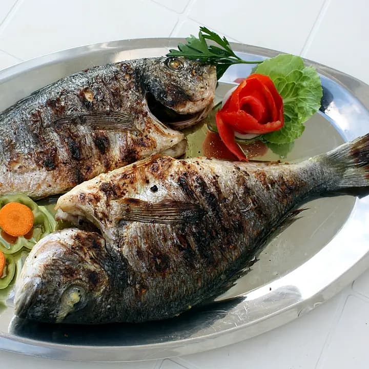 T2 Deniz Levregi